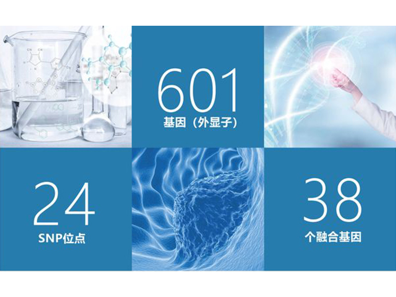 腫瘤全面用藥基因檢測(cè)