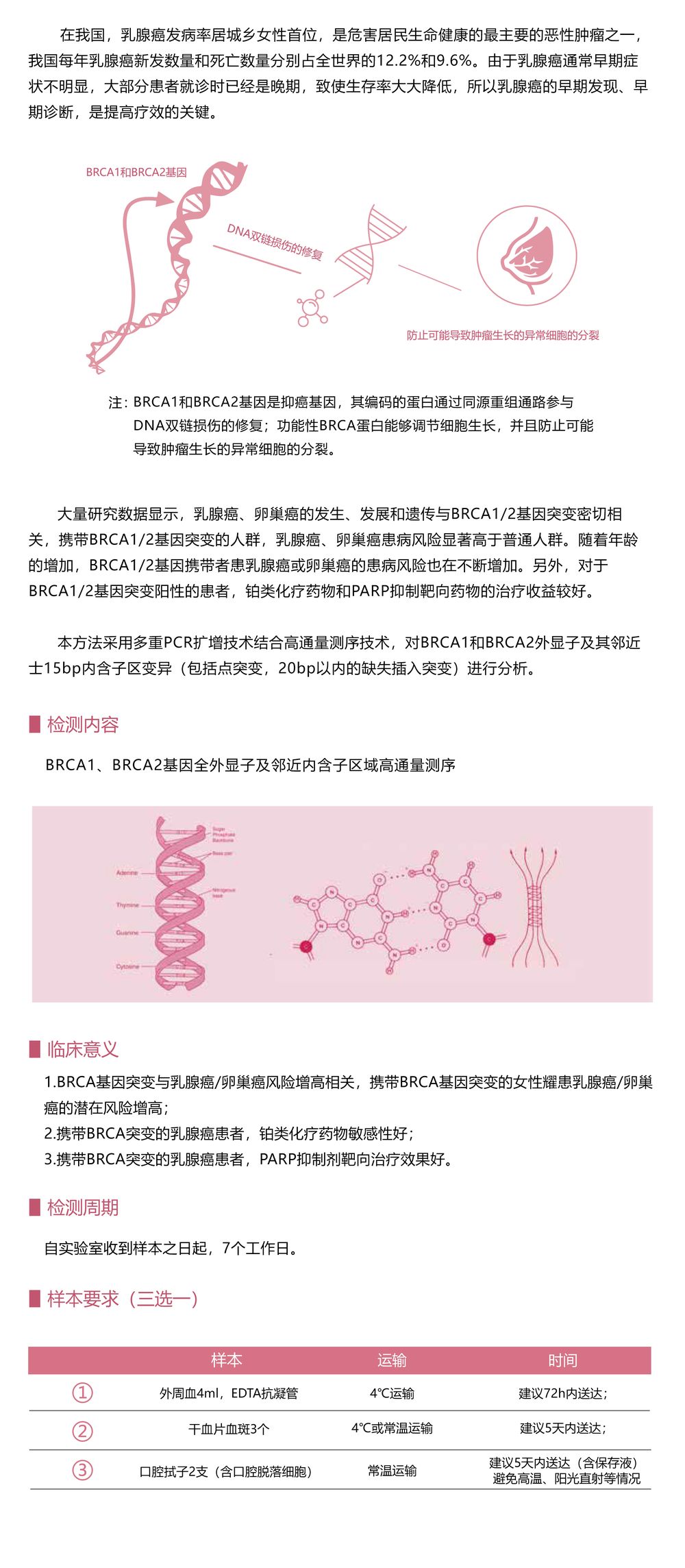 Brca1-2基因檢測